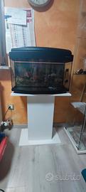 acquario per company