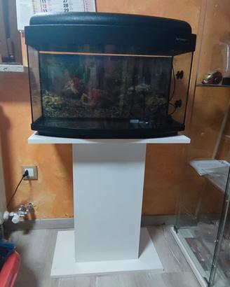 acquario per company