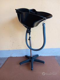 Lavatesta profesdionale