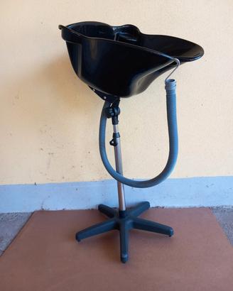 Lavatesta profesdionale