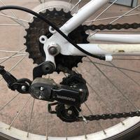 Bicicletta 24