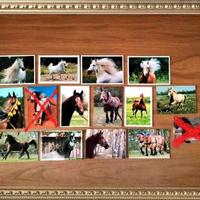 CARTOLINE FOTOGRAFICHE DA COLLEZIONE *CAVALLI*