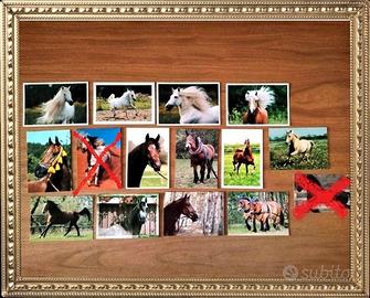 CARTOLINE FOTOGRAFICHE DA COLLEZIONE *CAVALLI*