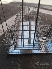 Gabbia roditori topi buona fattura