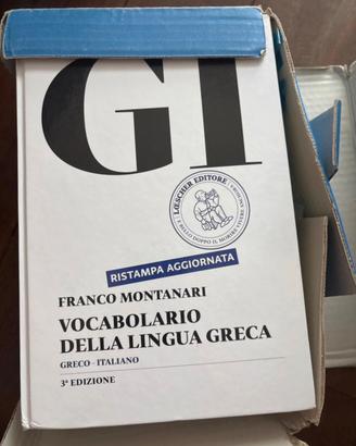Dizionario GI
