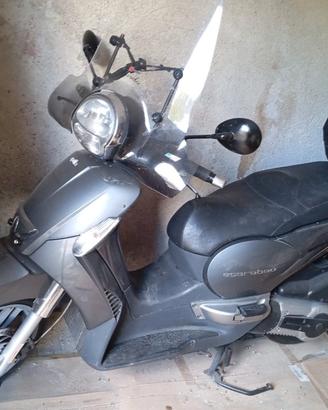 Scarabeo 500