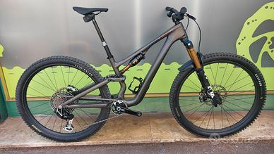 SWORKS stumpjumper mod 2026 tg S3 (m)
