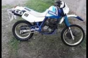 Suzuki dr600