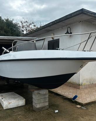 Barca a motore 40cv