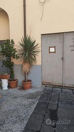 Deposito al Borgo Scacciaventi