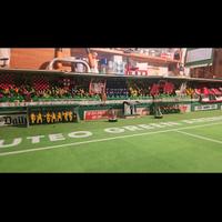 Subbuteo Stadio