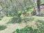 Immagine 27