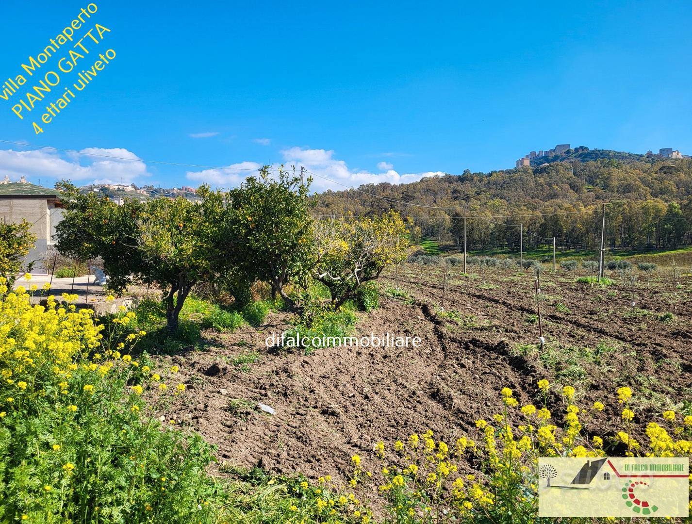 House in Agrigento, Montaperto - Vista 2