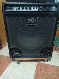 Peavey max 115