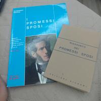 Bignami e riassunto dei Promessi Sposi 
