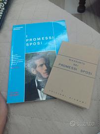 Bignami e riassunto dei Promessi Sposi 