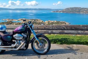 Harley-Davidson Sportster 883 - 2008