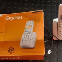 Telefono cordless Siemens