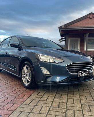 Ford Focus 1.5 EcoBlue 95 CV 5p. Business