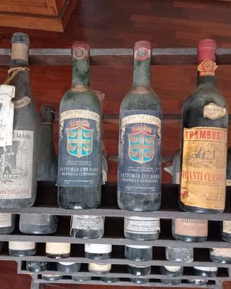 Collezione Vini da sola esposizione 