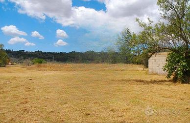 Vendita suolo edificatorio 1975 mq a Specchia (LE)