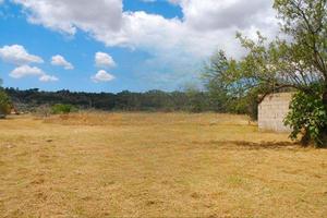 Vendita suolo edificatorio 1975 mq a Specchia (LE)