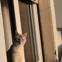 Non posso più tererla