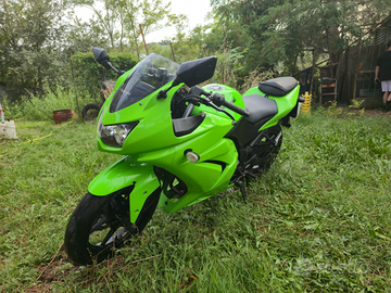 Kawasaki ninja 250R