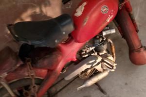 Motom Altro modello - 1961