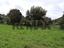Immagine 7