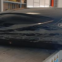 Baule da tetto