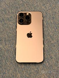 Iphone 13 Pro 256 Gb