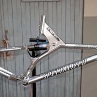 Telaio Specialized s-Works FSR xc