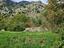Immagine 20