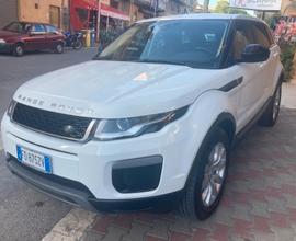 Range Rover Evoque 2.0 TD4 150 CV 5p. Business Edi