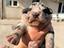 Immagine 1