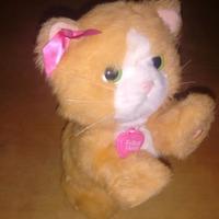 giocattolo gatto