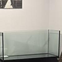 Acquario