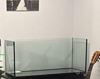 Acquario