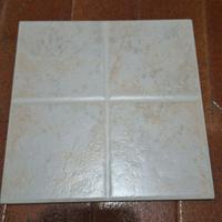 Mattonelle piastrelle 20x20 beige (103)