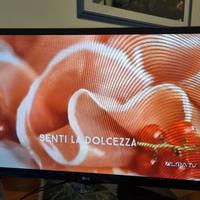 LG tv monitor led 28" 