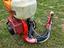 Immagine 3