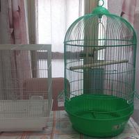 Gabbie per uccelli