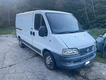 Fiat ducato