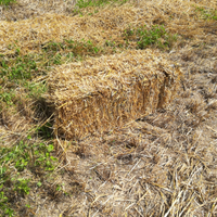 Paglia e fieno in ballette piccole