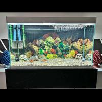 Acquario Ciano 250L Completo Tutto
