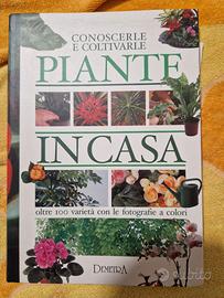 CONOSCERLE E COLTIVARLE. PIANTE IN CASA. Gelio. De