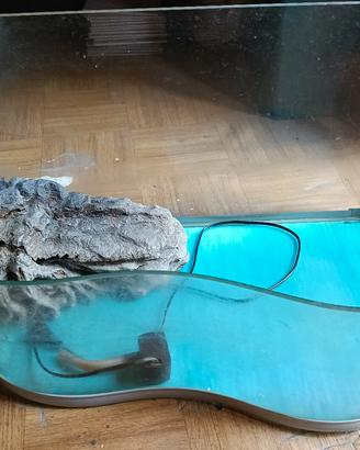 acquario/tartarughiera 