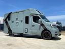 van-ameline-patente-b-2-cavalli-pronta-consegna