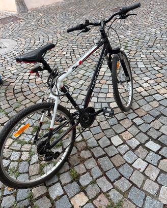 MountBike Entry-level RockRider 5.1